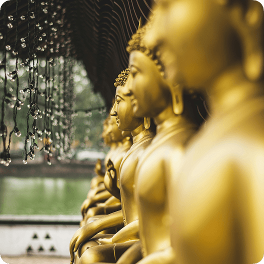 second column bottom right image